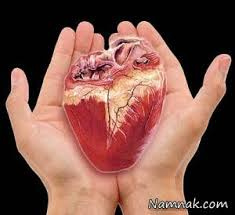 تاریخچه پیوند اعضا